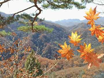 虎跳峡景区20岁男子跌落峡谷